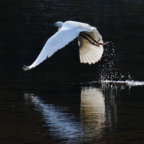 2025년 청년내일저축계좌 – 청년들의 금융 복지를 위한 새로운 희망