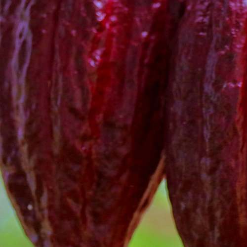 카카오뱅크 마이너스통장으로 경제적 안정감 높이기 &ndash; 2억 한도 증액 후기