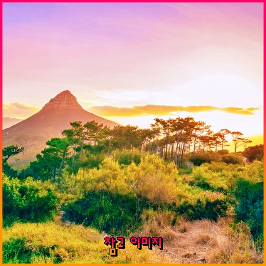 눈의 건강과 젊음을 동시에 지키는 비밀 영양소