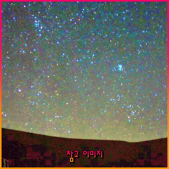 대구데이 페스티벌: 문화의 향연을 만끽할 시간이에요