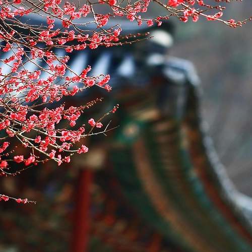 마이마이 테스트: 당신의 적성과 성격을 읽는 비밀 열쇠 마이마이 테스트: 당신의 적성과 성격을 읽는 비밀 열쇠