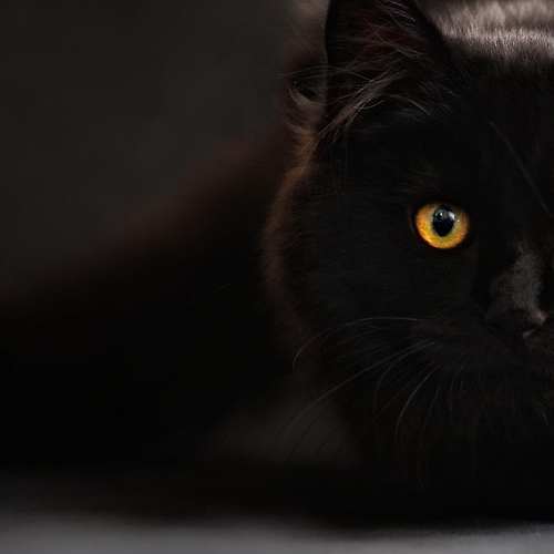 고양 킨텍스 2023년 2월 행사일정: 기대되는 두 행사!