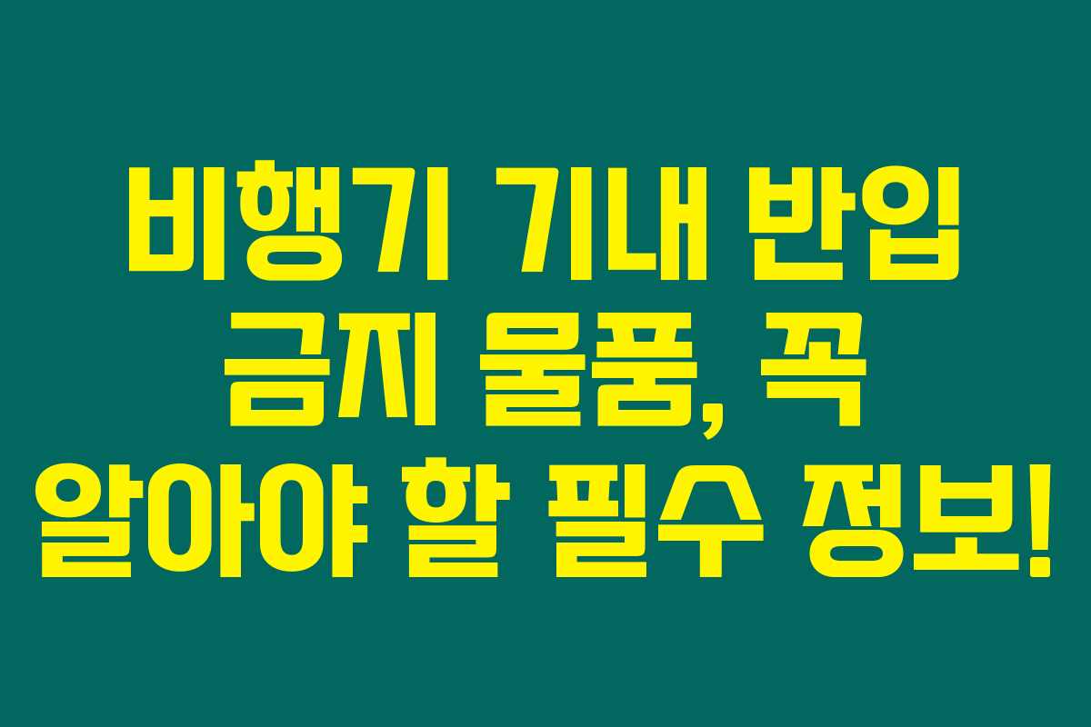 비행기 기내 반입 금지 물품, 꼭 알아야 할 필수 정보! 비행기 기내 반입 금지 물품, 꼭 알아야 할 필수 정보!