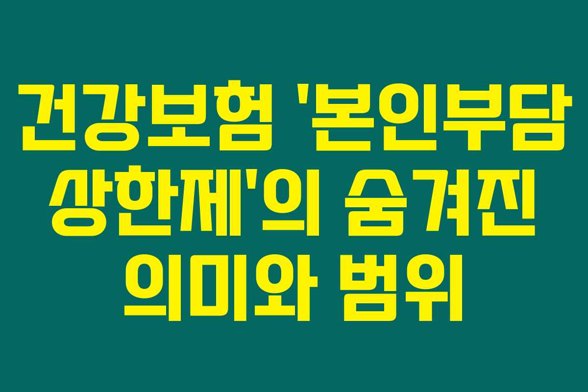 건강보험 &lsquo;본인부담 상한제&rsquo;의 숨겨진 의미와 범위
