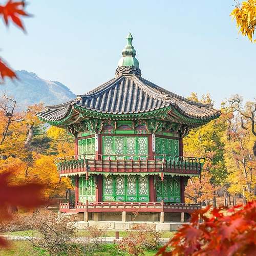 프로페시아의 모든 것: 탈모에 맞서는 힘과 주의사항을 이해하자 프로페시아의 모든 것: 탈모에 맞서는 힘과 주의사항을 이해하자