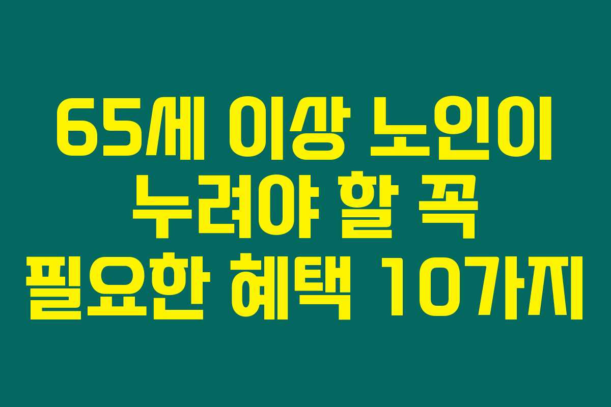 65세 이상 노인이 누려야 할 꼭 필요한 혜택 10가지