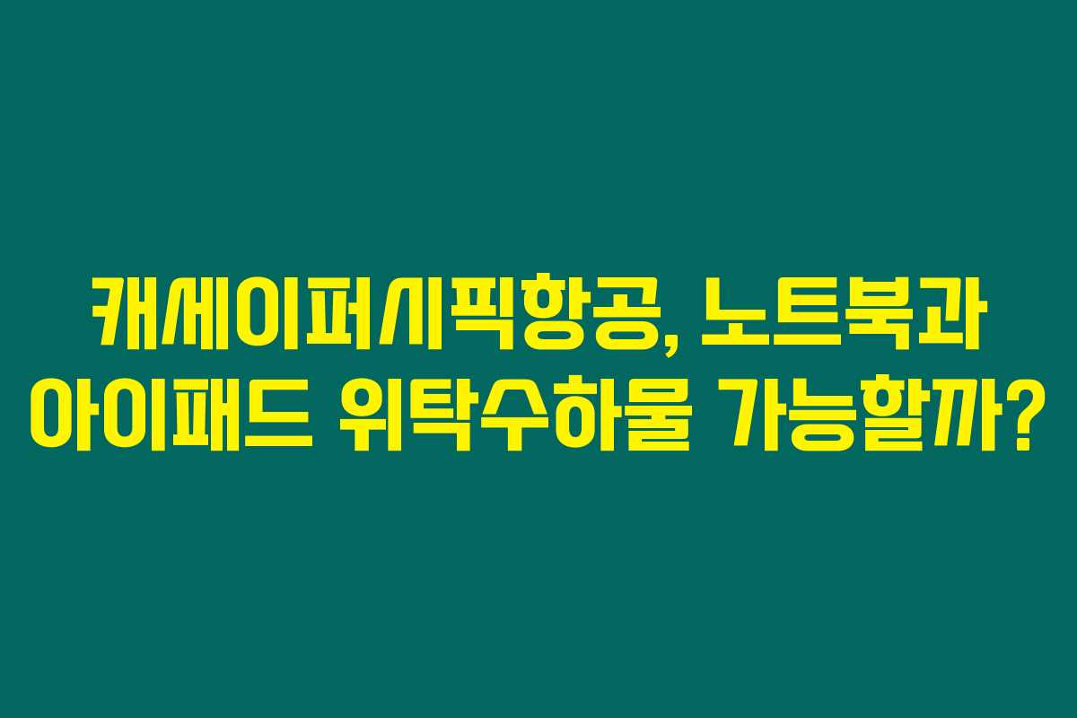 캐세이퍼시픽항공, 노트북과 아이패드 위탁수하물 가능할까?