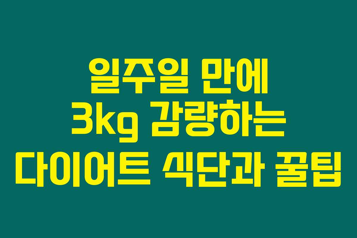 일주일 만에 3kg 감량하는 다이어트 식단과 꿀팁