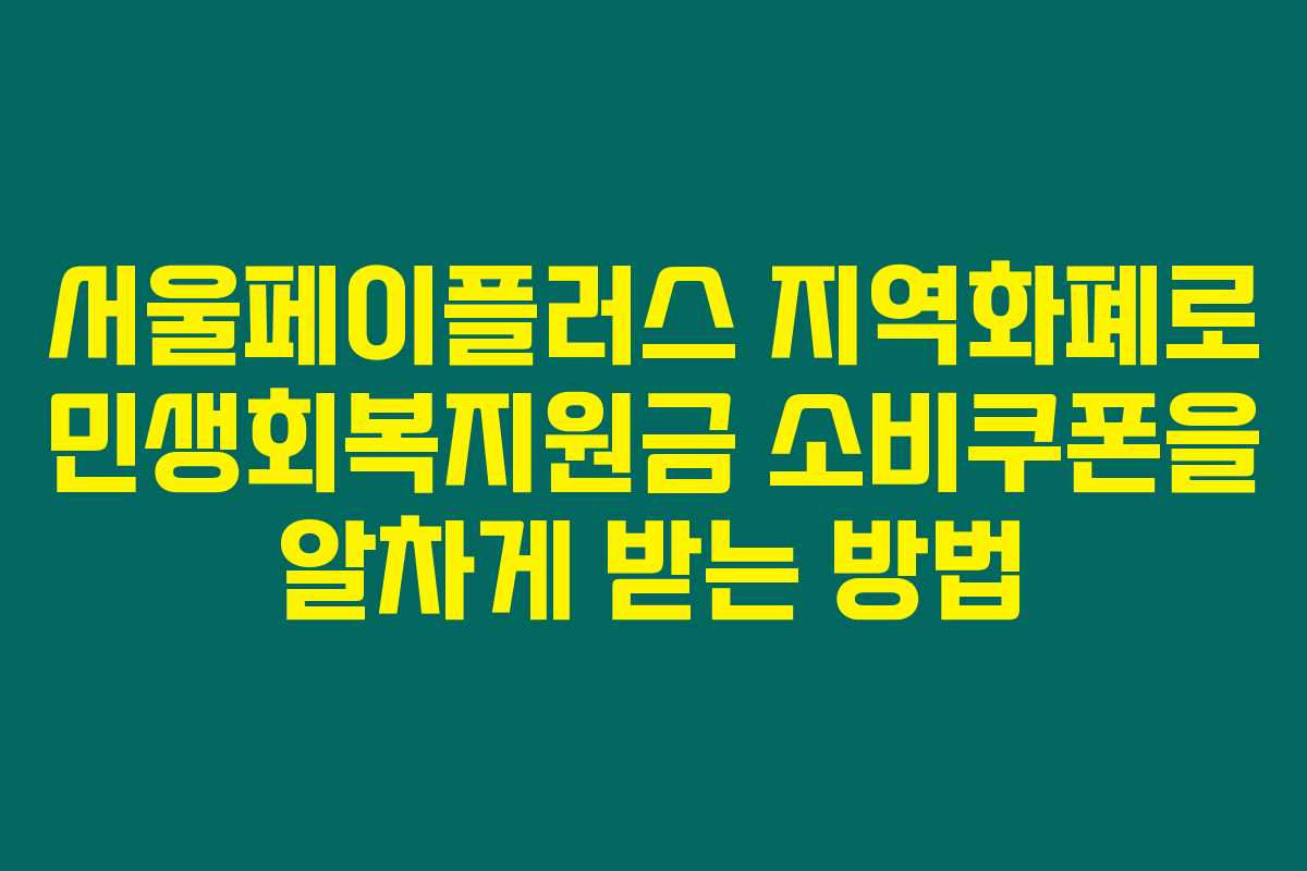 서울페이플러스 지역화폐로 민생회복지원금 소비쿠폰을 알차게 받는 방법