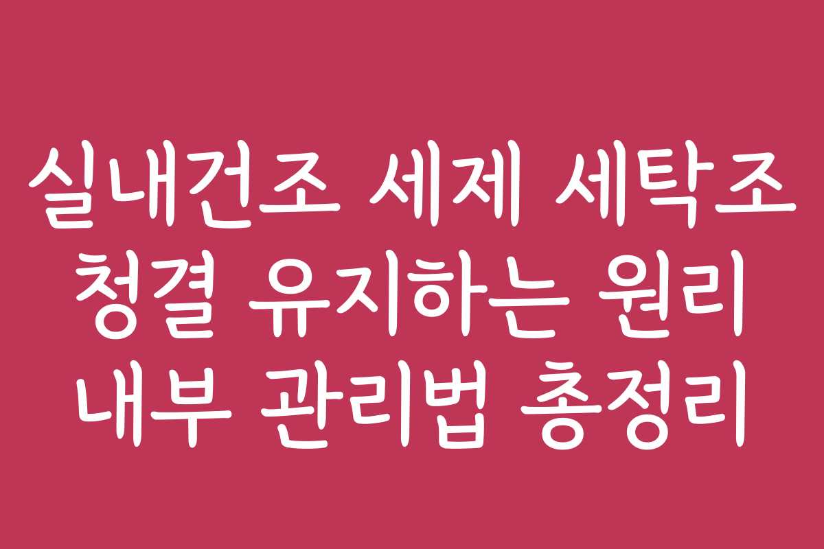 실내건조 세제 세탁조 청결 유지하는 원리 내부 관리법 총정리 실내건조 세제 세탁조 청결 유지하는 원리 내부 관리법 총정리