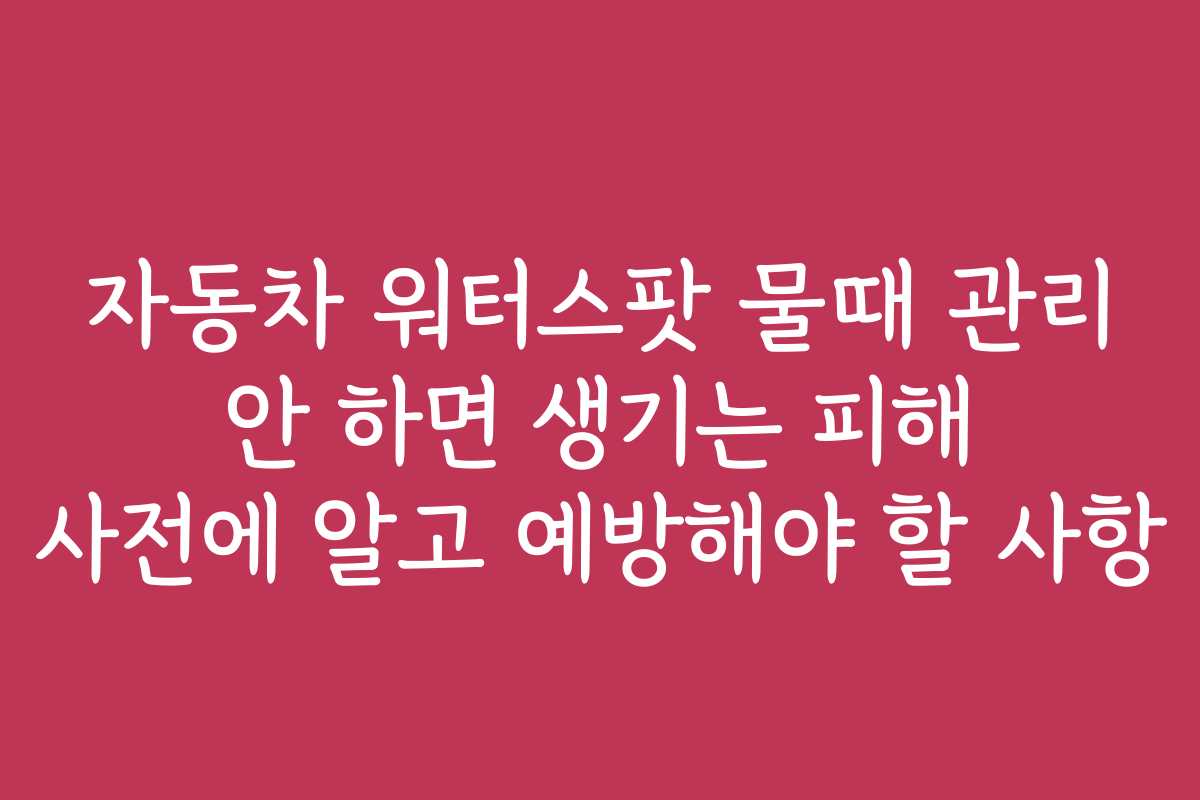 자동차 워터스팟 물때 관리 안 하면 생기는 피해 사전에 알고 예방해야 할 사항