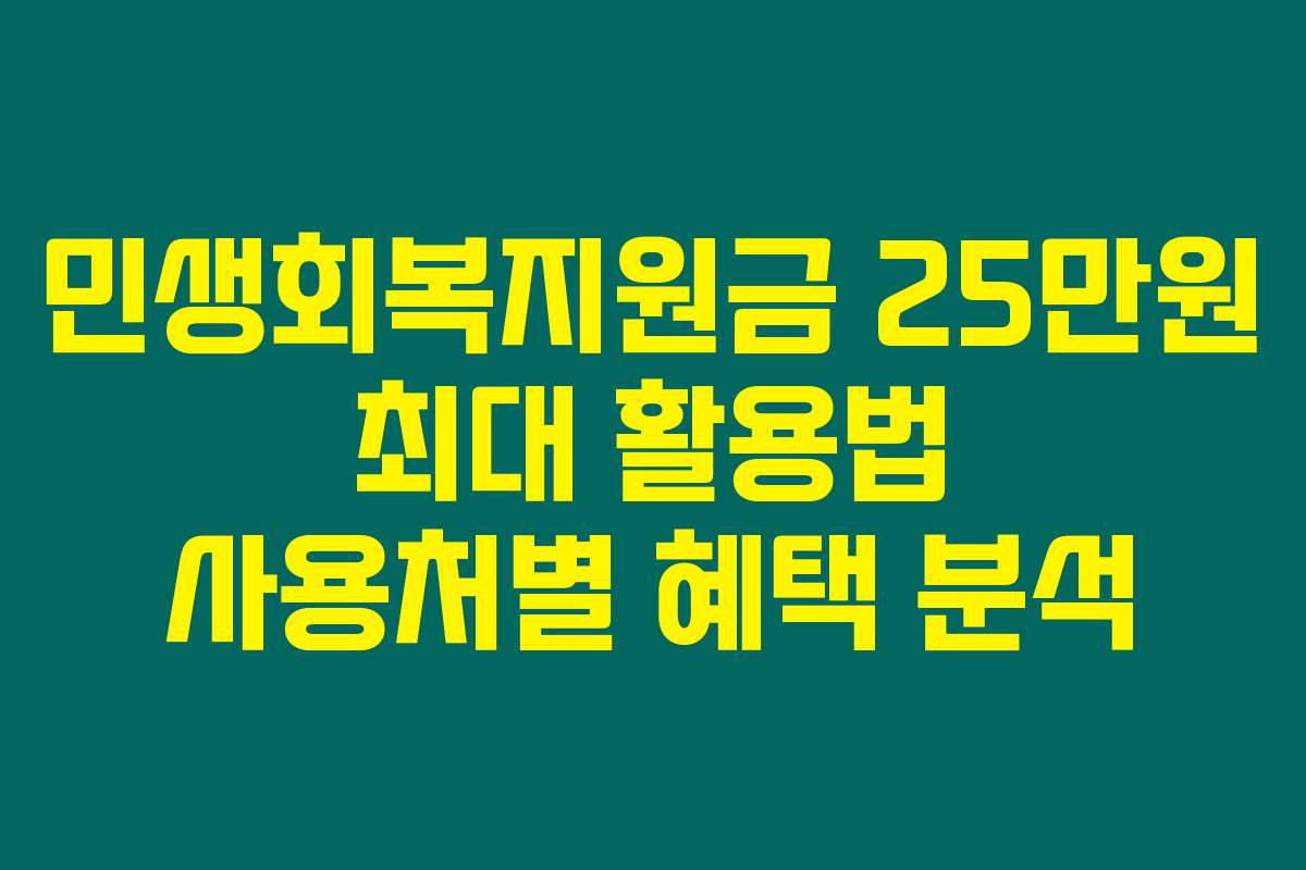 민생회복지원금 25만원 최대 활용법 사용처별 혜택 분석