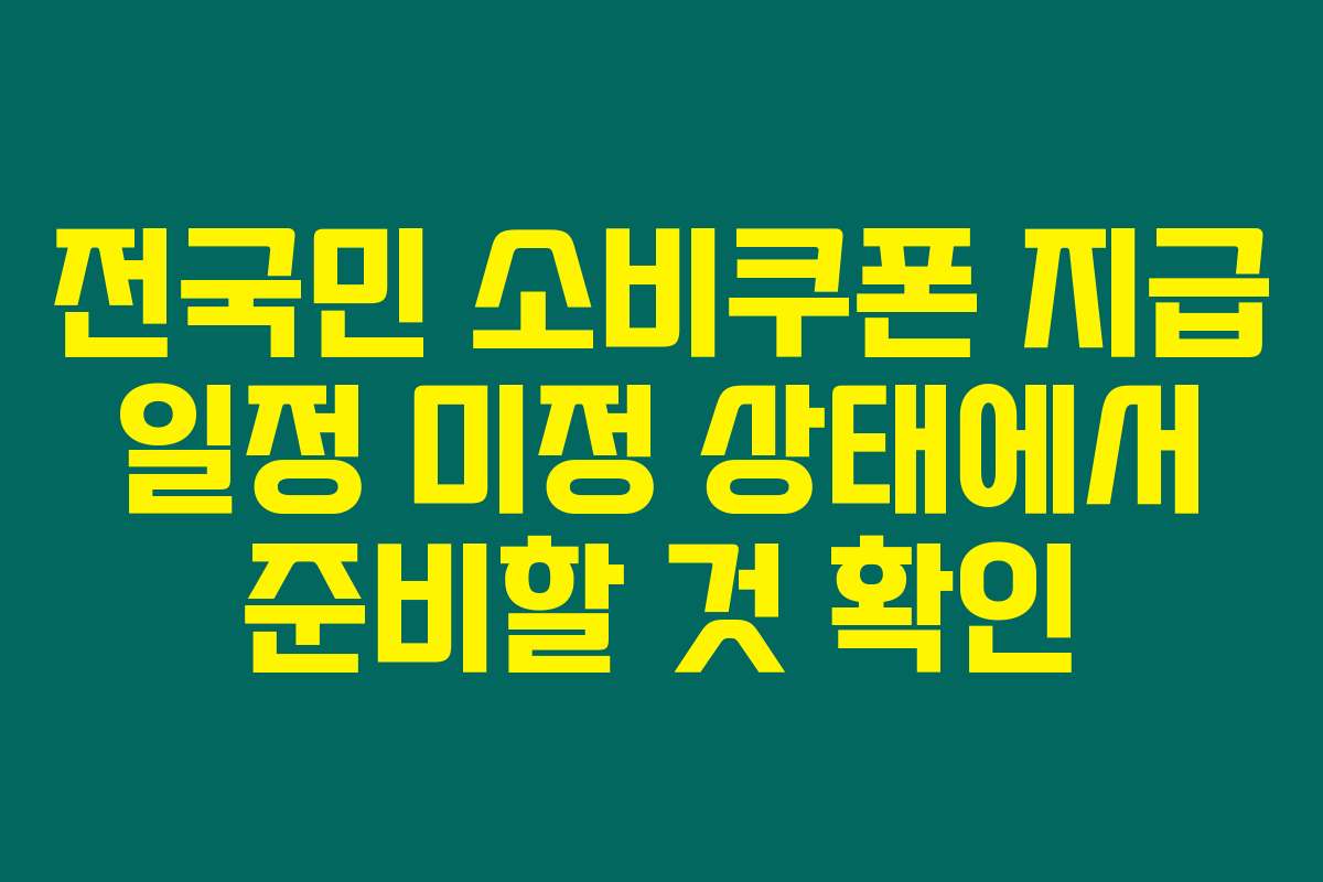 전국민 소비쿠폰 지급 일정 미정 상태에서 준비할 것 확인