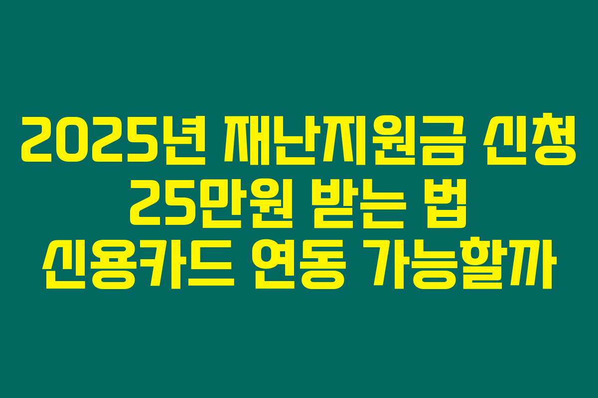 2025년 재난지원금 신청 25만원 받는 법 신용카드 연동 가능할까