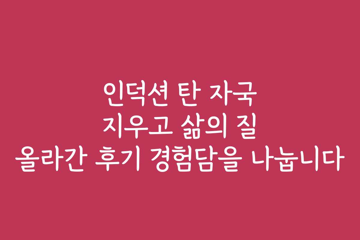 인덕션 탄 자국 지우고 삶의 질 올라간 후기 경험담을 나눕니다