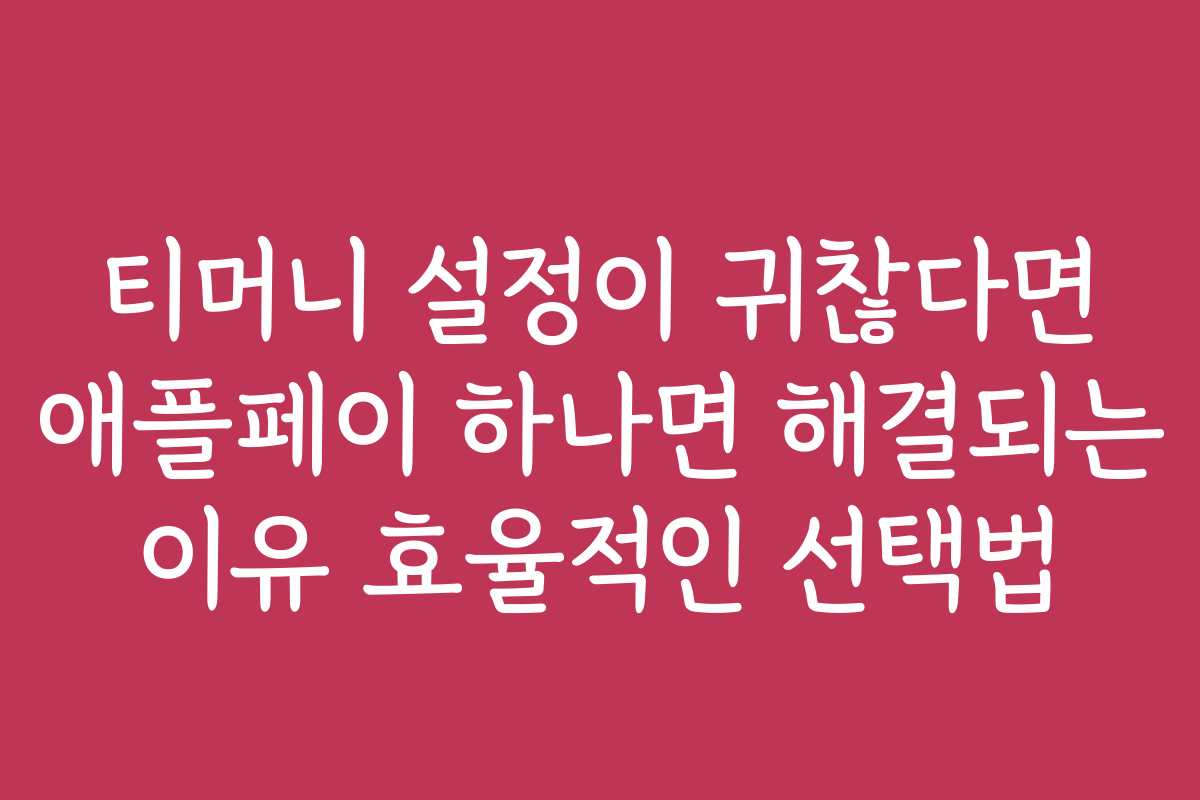 티머니 설정이 귀찮다면 애플페이 하나면 해결되는 이유 효율적인 선택법