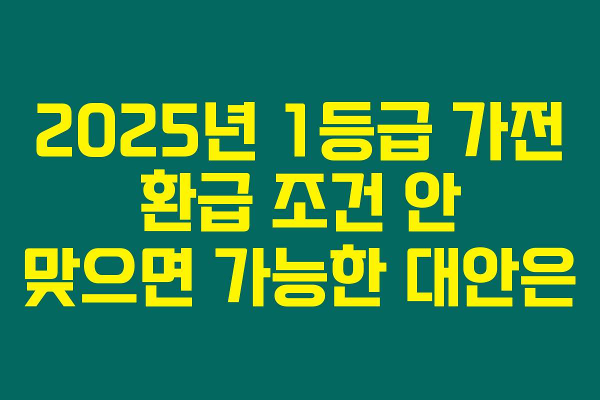 2025년 1등급 가전 환급 조건 안 맞으면 가능한 대안은