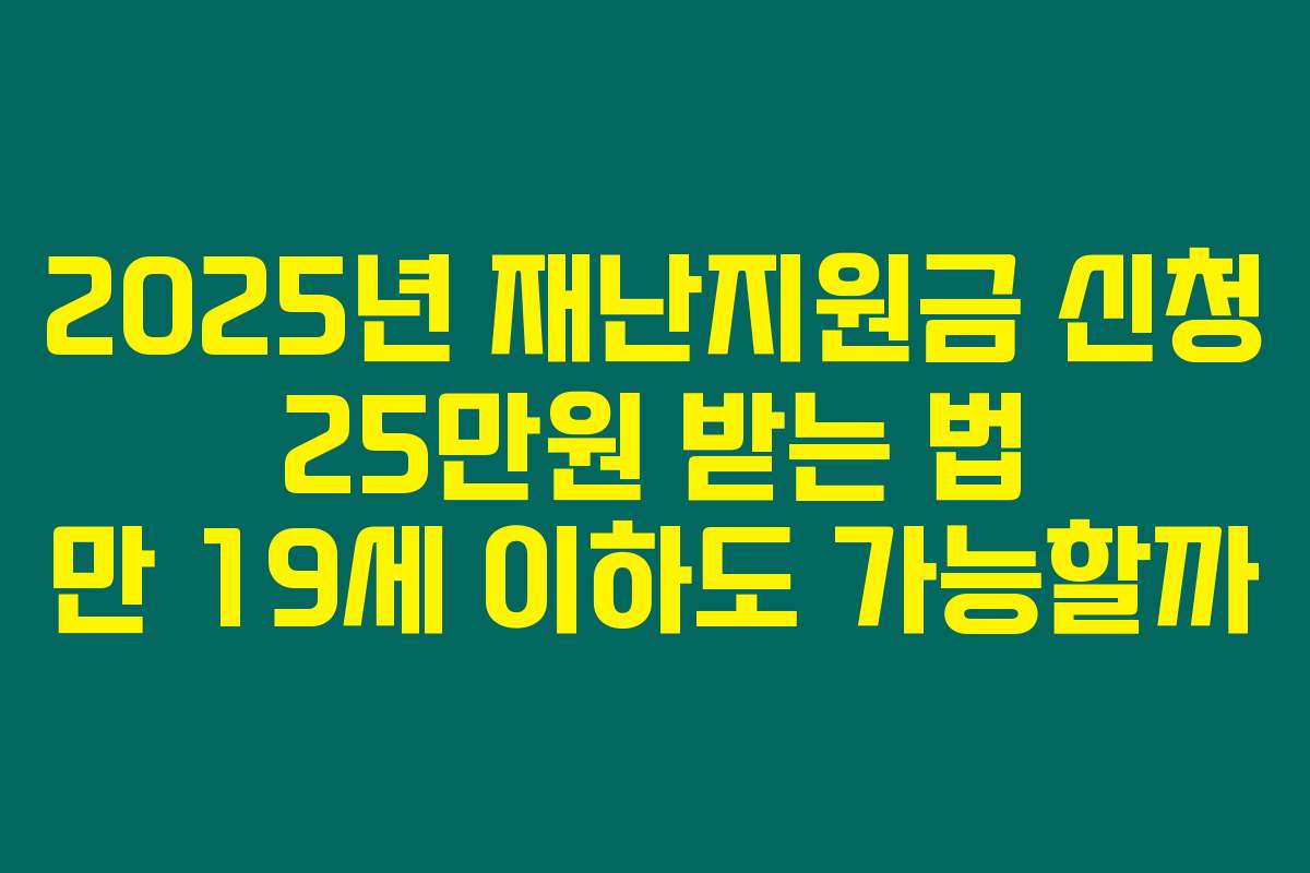 2025년 재난지원금 신청 25만원 받는 법 만 19세 이하도 가능할까