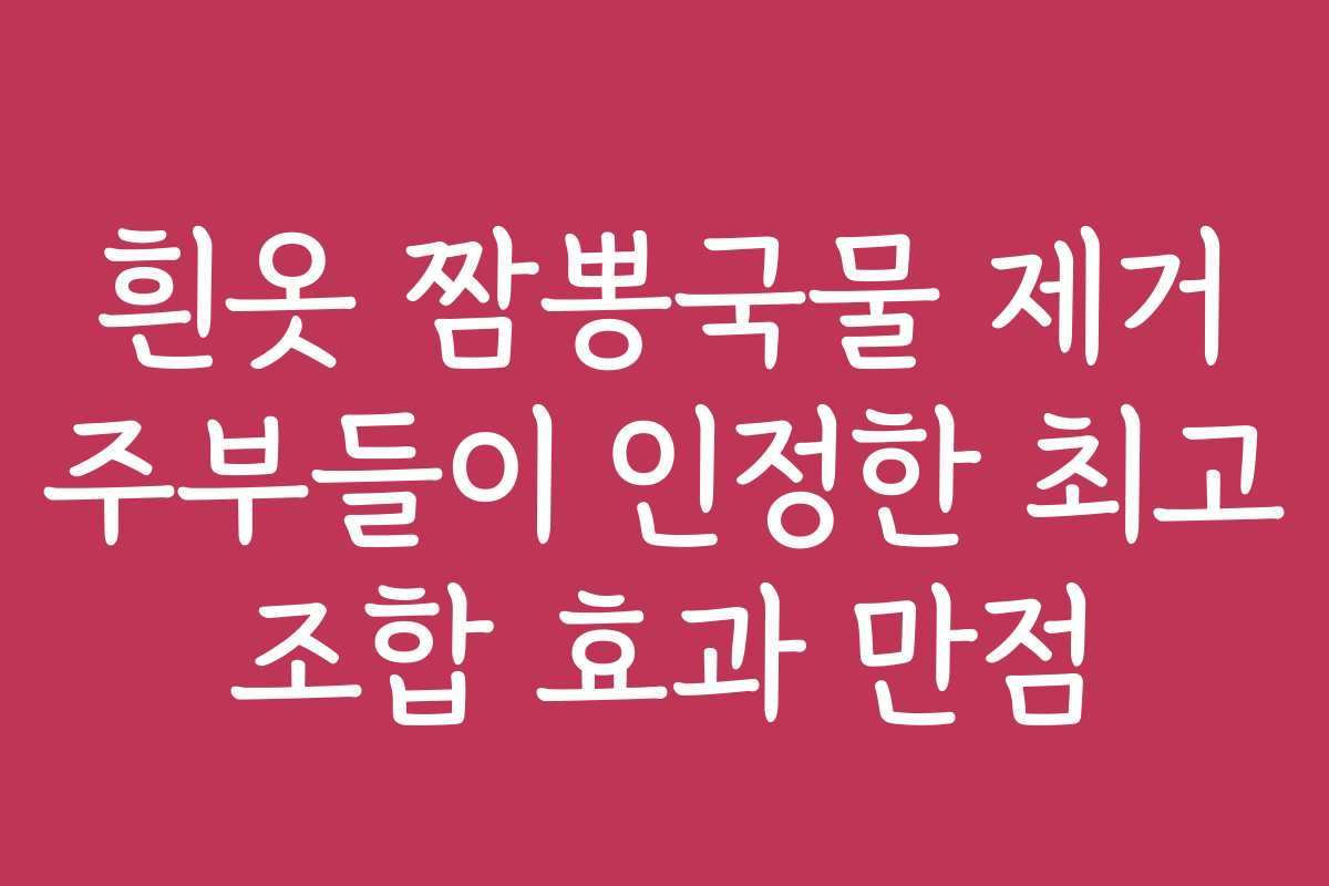 흰옷 짬뽕국물 제거 주부들이 인정한 최고 조합 효과 만점