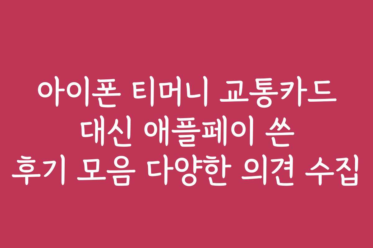 아이폰 티머니 교통카드 대신 애플페이 쓴 후기 모음 다양한 의견 수집