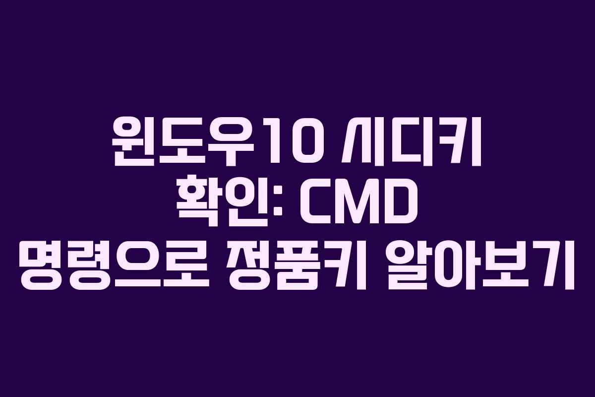 윈도우10 시디키 확인: CMD 명령으로 정품키 알아보기