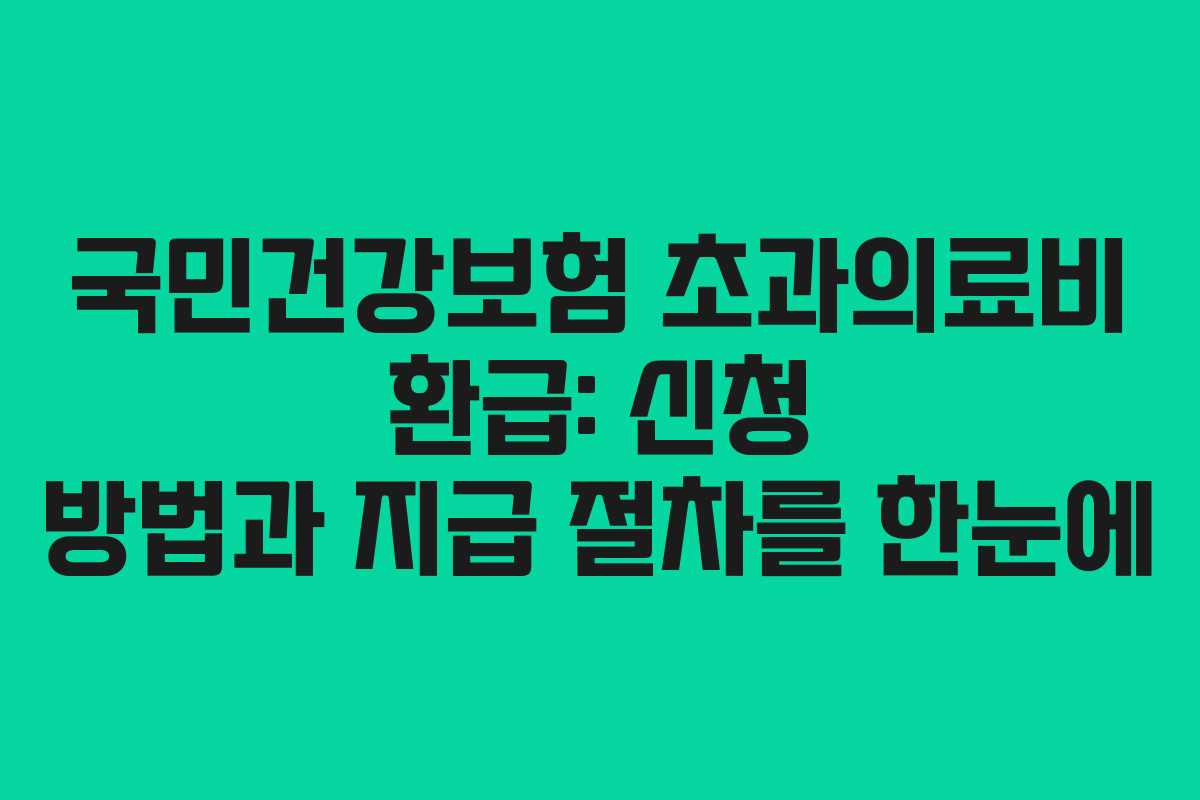 국민건강보험 초과의료비 환급: 신청 방법과 지급 절차를 한눈에