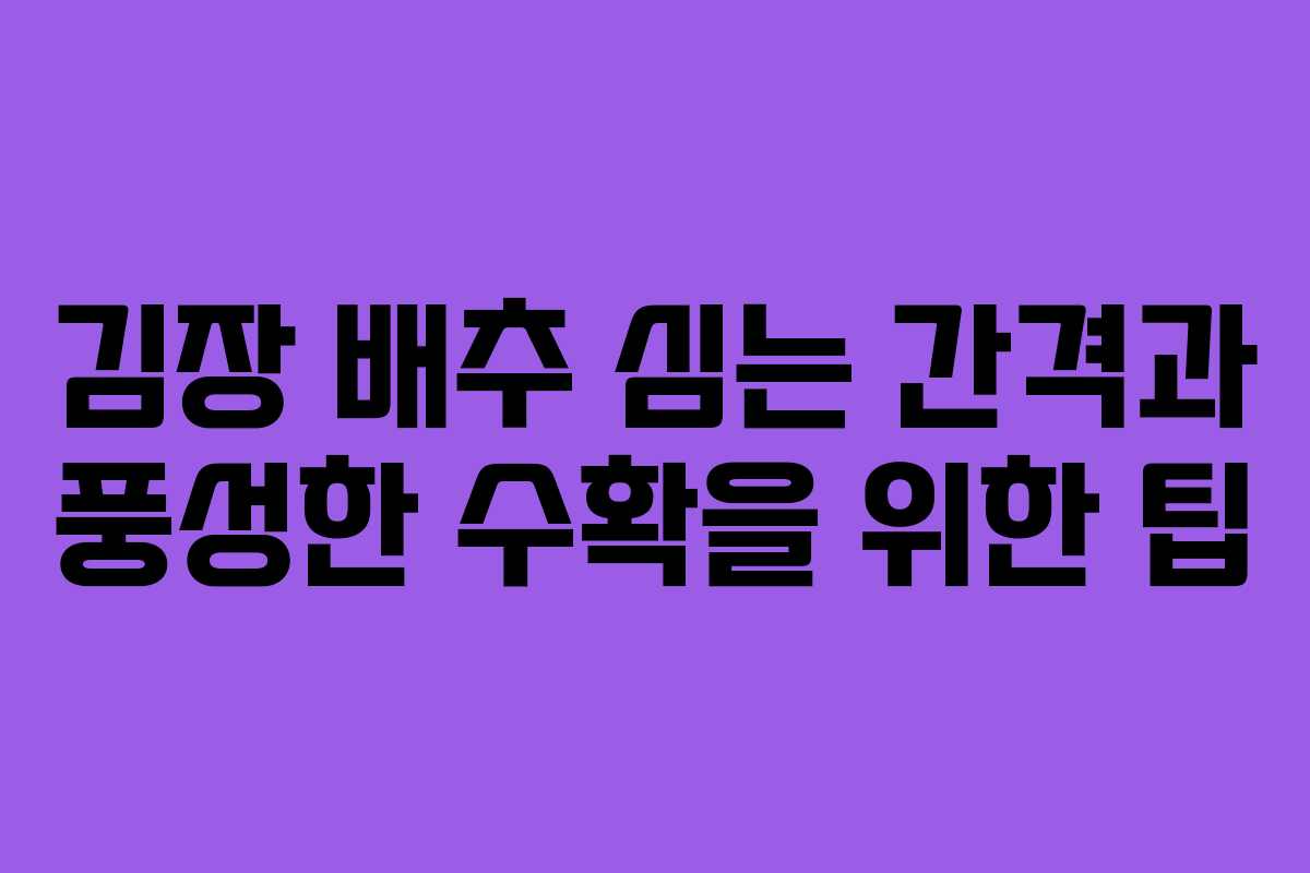 김장 배추 심는 간격과 풍성한 수확을 위한 팁