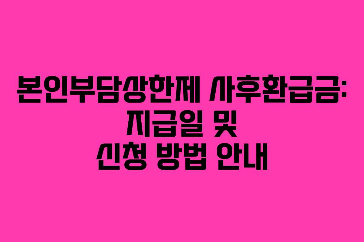 본인부담상한제 사후환급금: 지급일 및 신청 방법 안내
