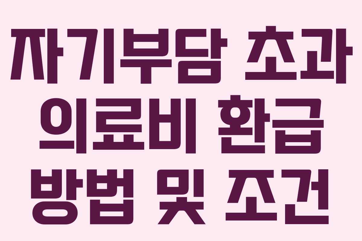 자기부담 초과 의료비 환급 방법 및 조건