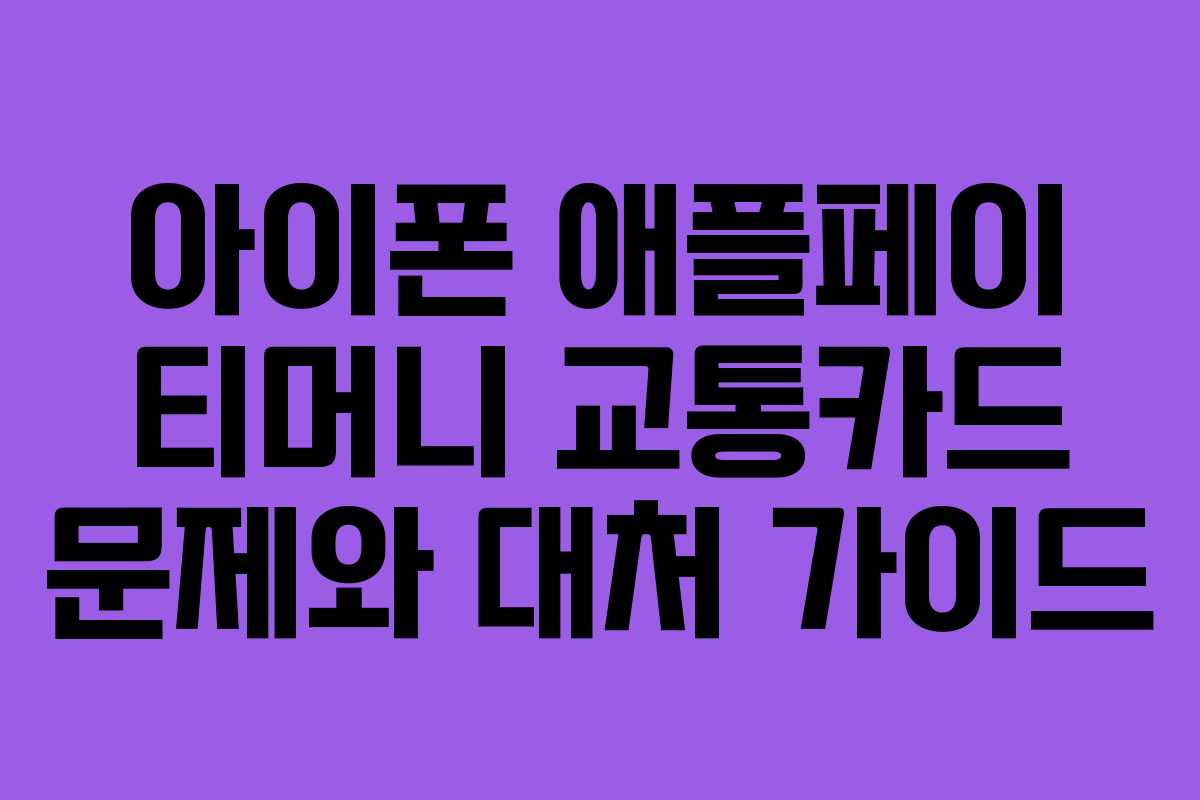 아이폰 애플페이 티머니 교통카드 문제와 대처 가이드