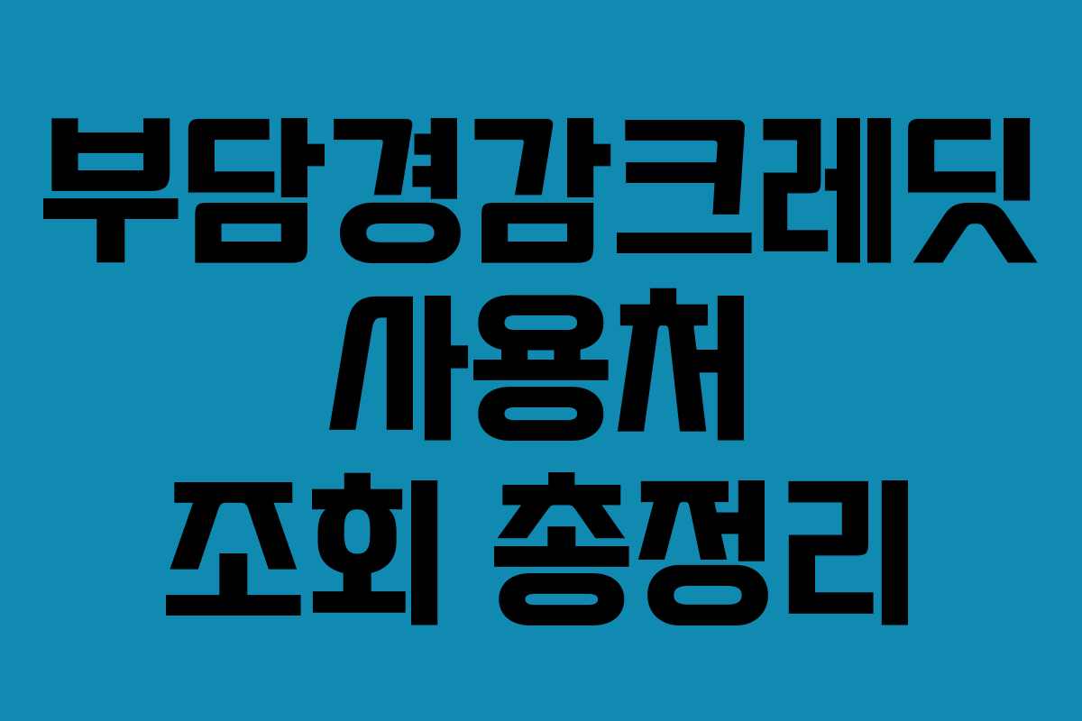 부담경감크레딧 사용처 조회 총정리
