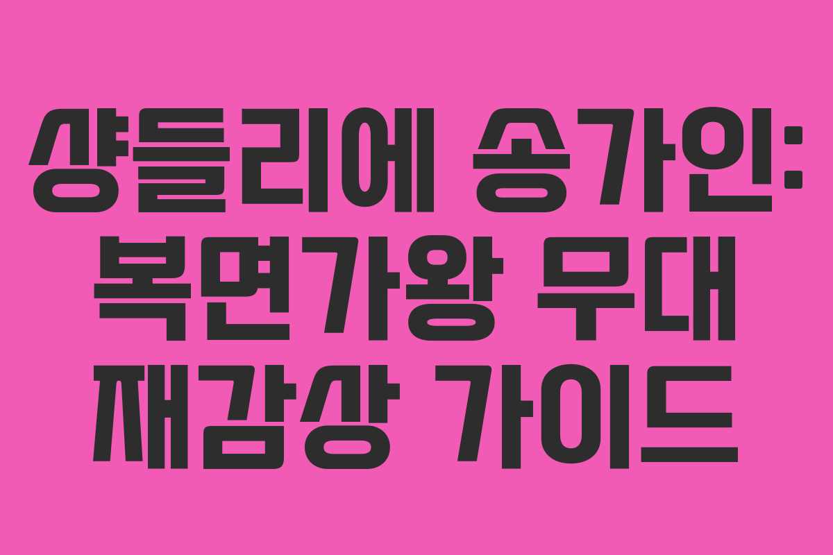 샹들리에 송가인: 복면가왕 무대 재감상 가이드