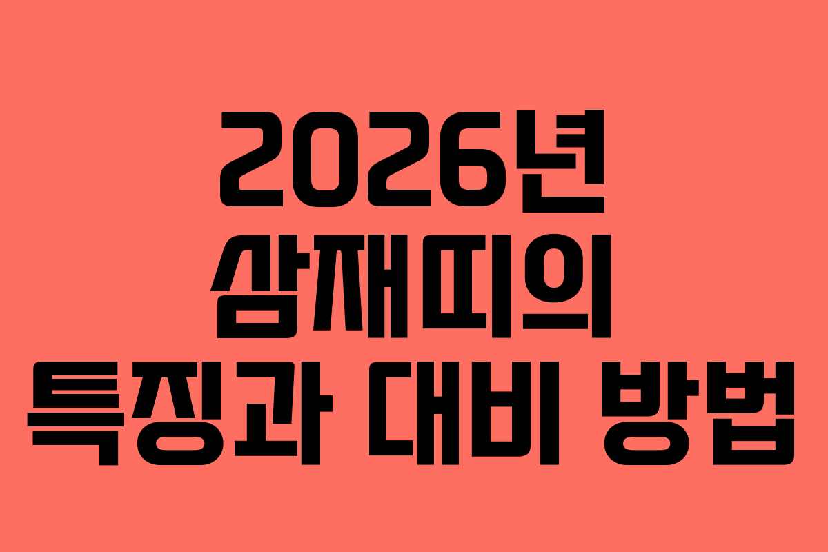 2026년 삼재띠의 특징과 대비 방법