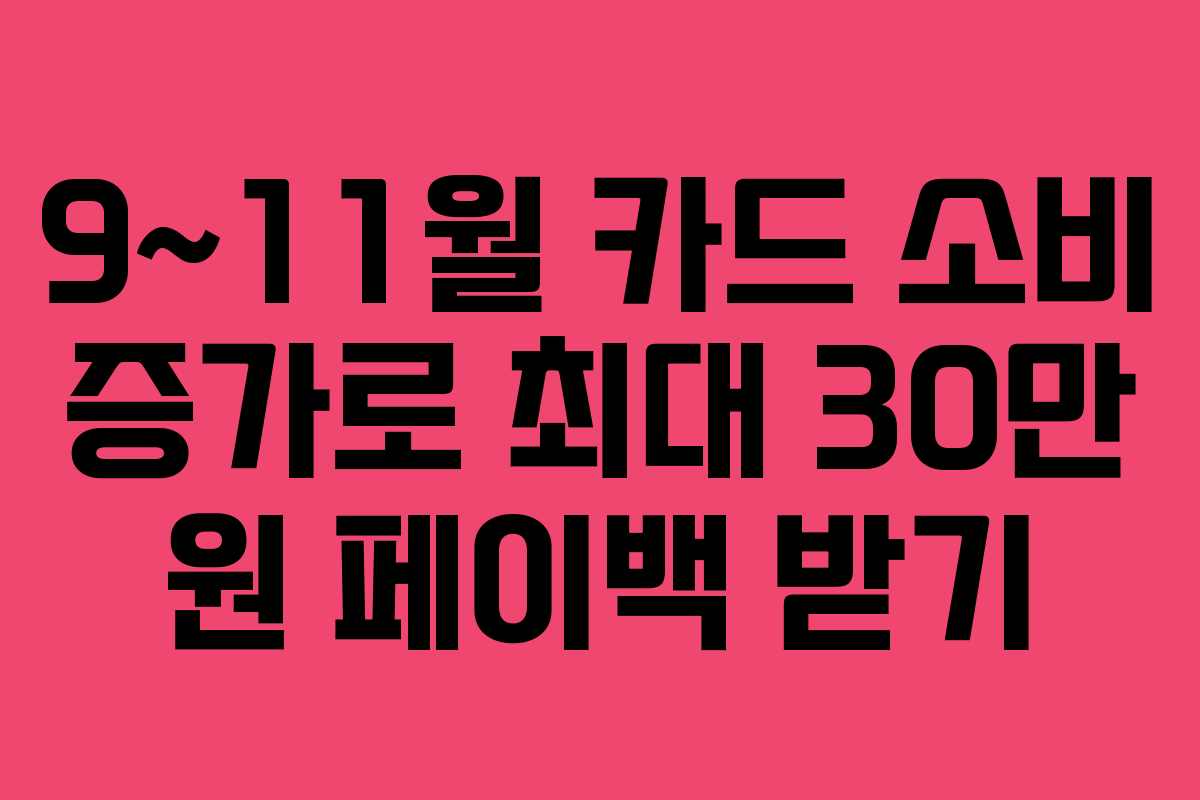 9~11월 카드 소비 증가로 최대 30만 원 페이백 받기 9~11월 카드 소비 증가로 최대 30만 원 페이백 받기