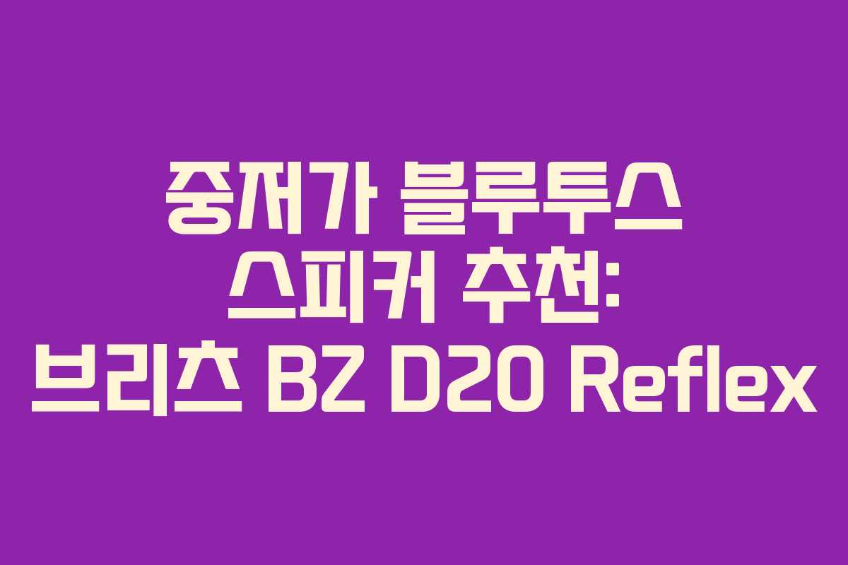 중저가 블루투스 스피커 추천: 브리츠 BZ D20 Reflex
