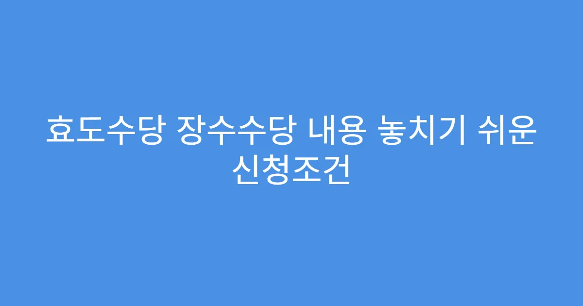 효도수당 장수수당 내용 놓치기 쉬운 신청조건