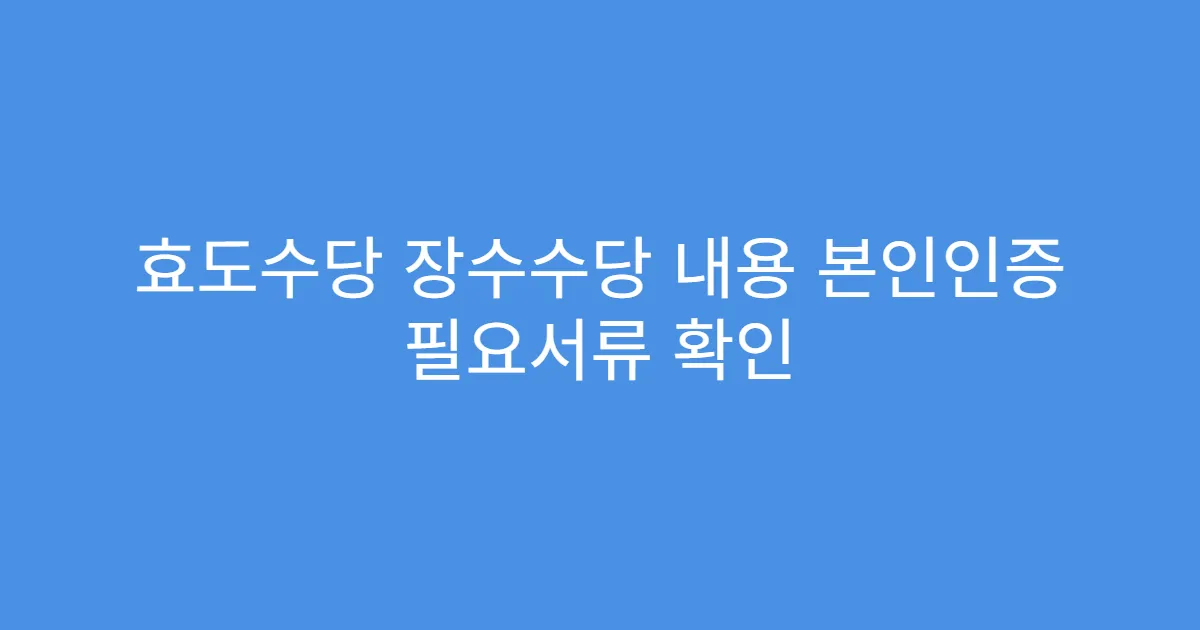 효도수당 장수수당 내용 본인인증 필요서류 확인