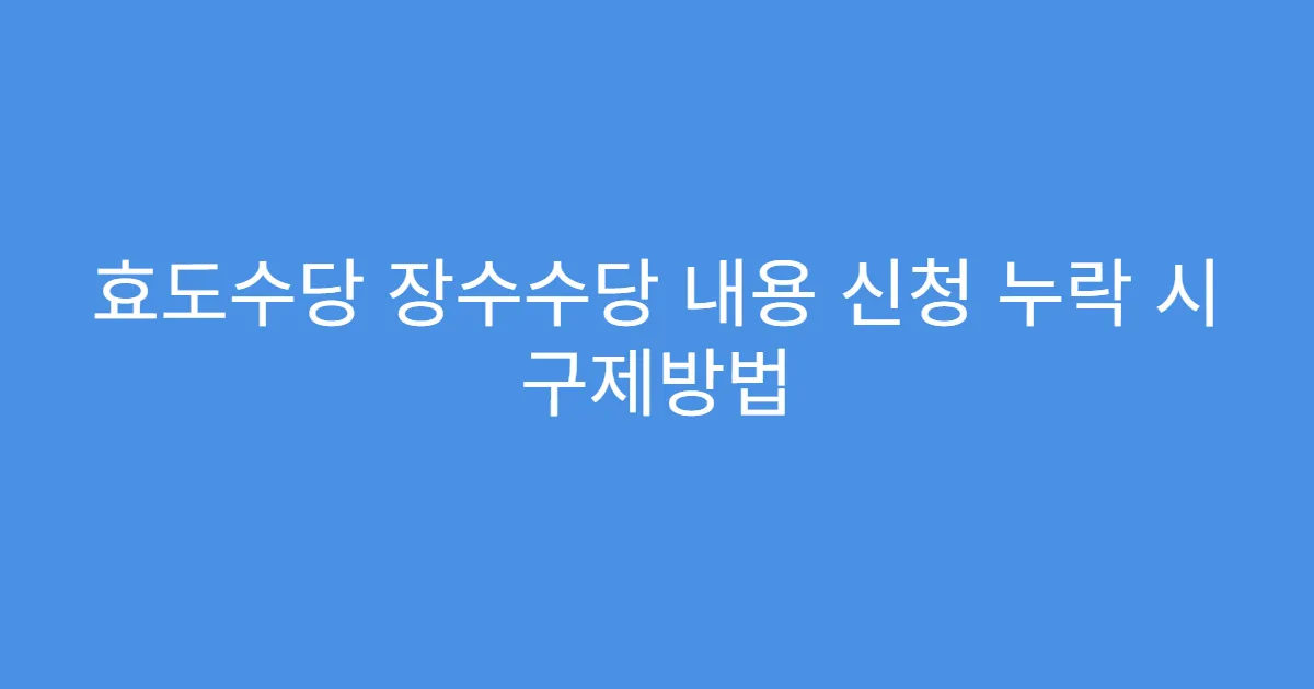효도수당 장수수당 내용 신청 누락 시 구제방법