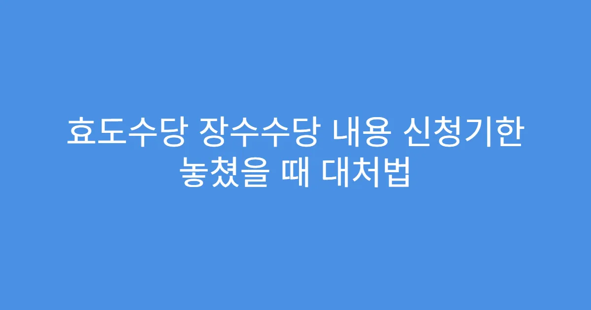 효도수당 장수수당 내용 신청기한 놓쳤을 때 대처법