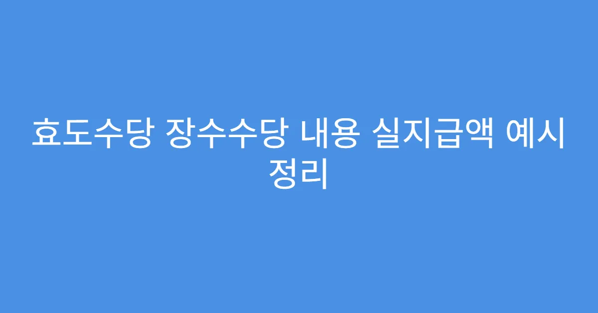 효도수당 장수수당 내용 실지급액 예시 정리