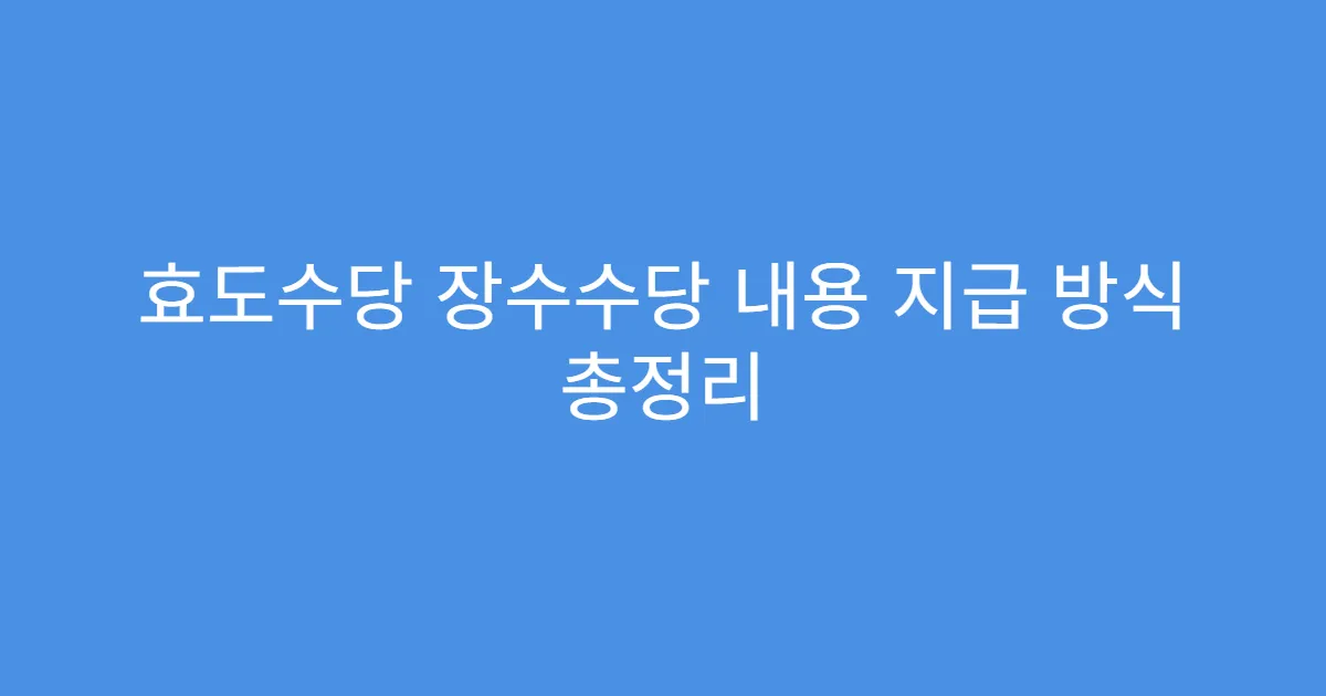 효도수당 장수수당 내용 지급 방식 총정리