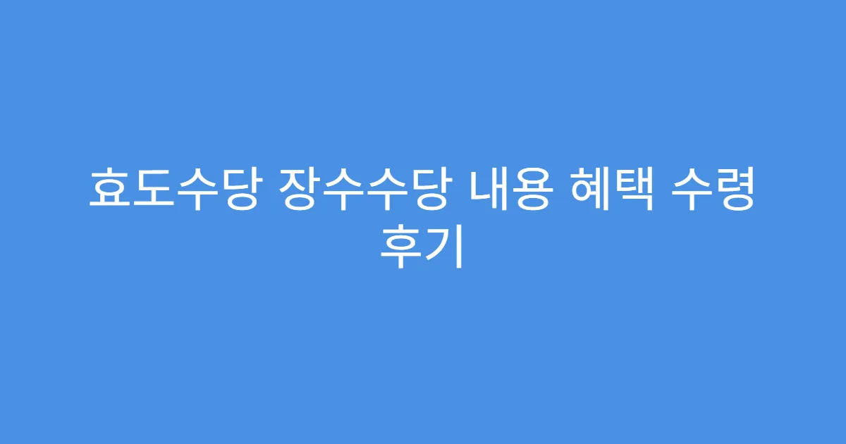 효도수당 장수수당 내용 혜택 수령 후기