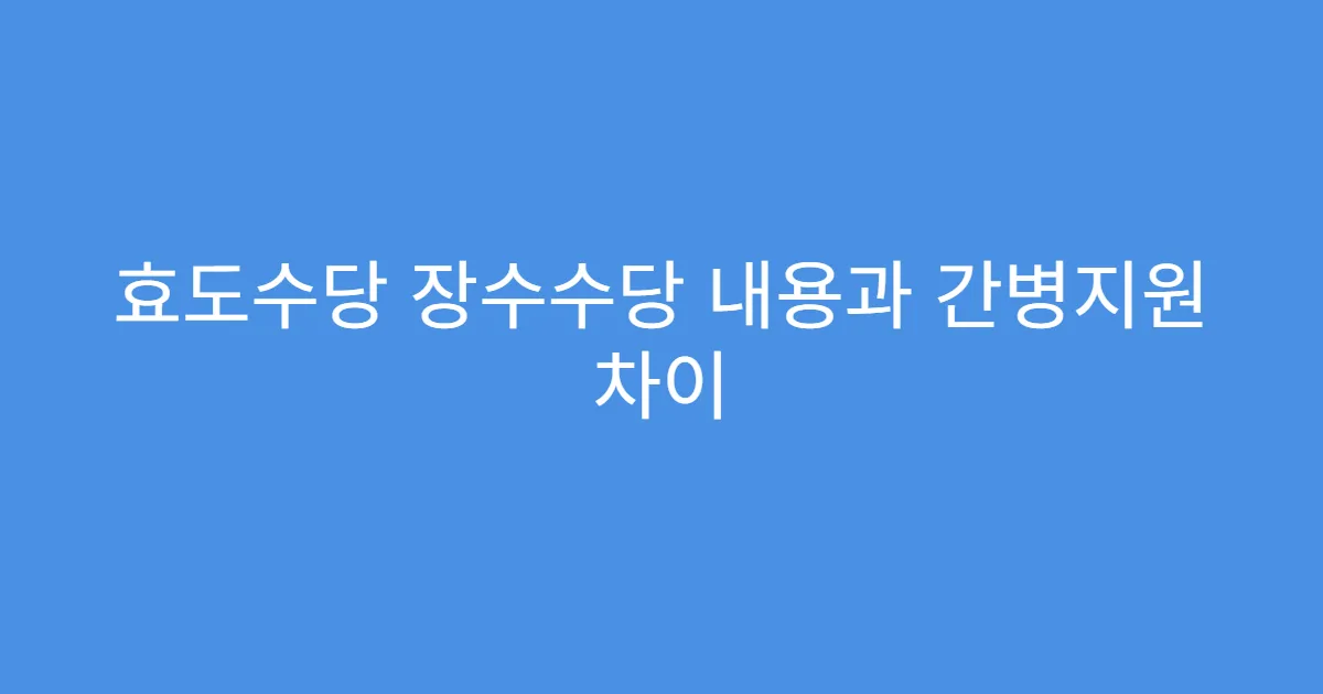 효도수당 장수수당 내용과 간병지원 차이