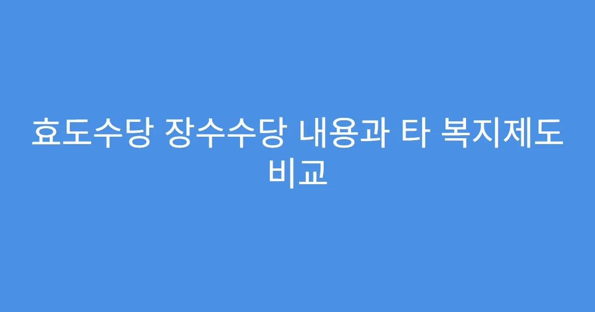 효도수당 장수수당 내용과 타 복지제도 비교