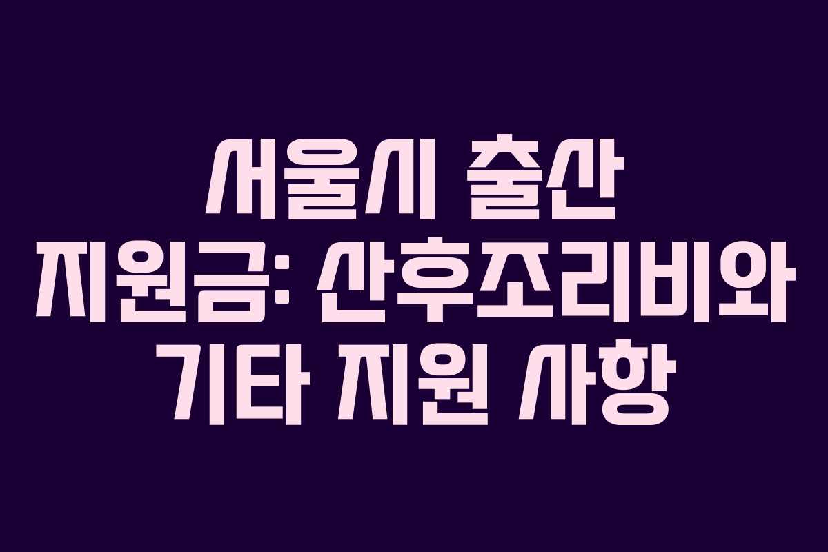 서울시 출산 지원금: 산후조리비와 기타 지원 사항