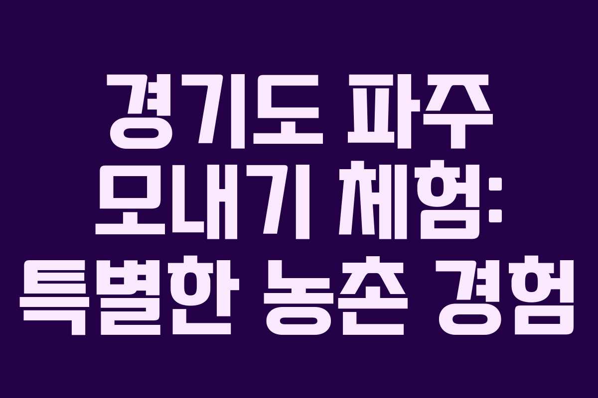 경기도 파주 모내기 체험: 특별한 농촌 경험