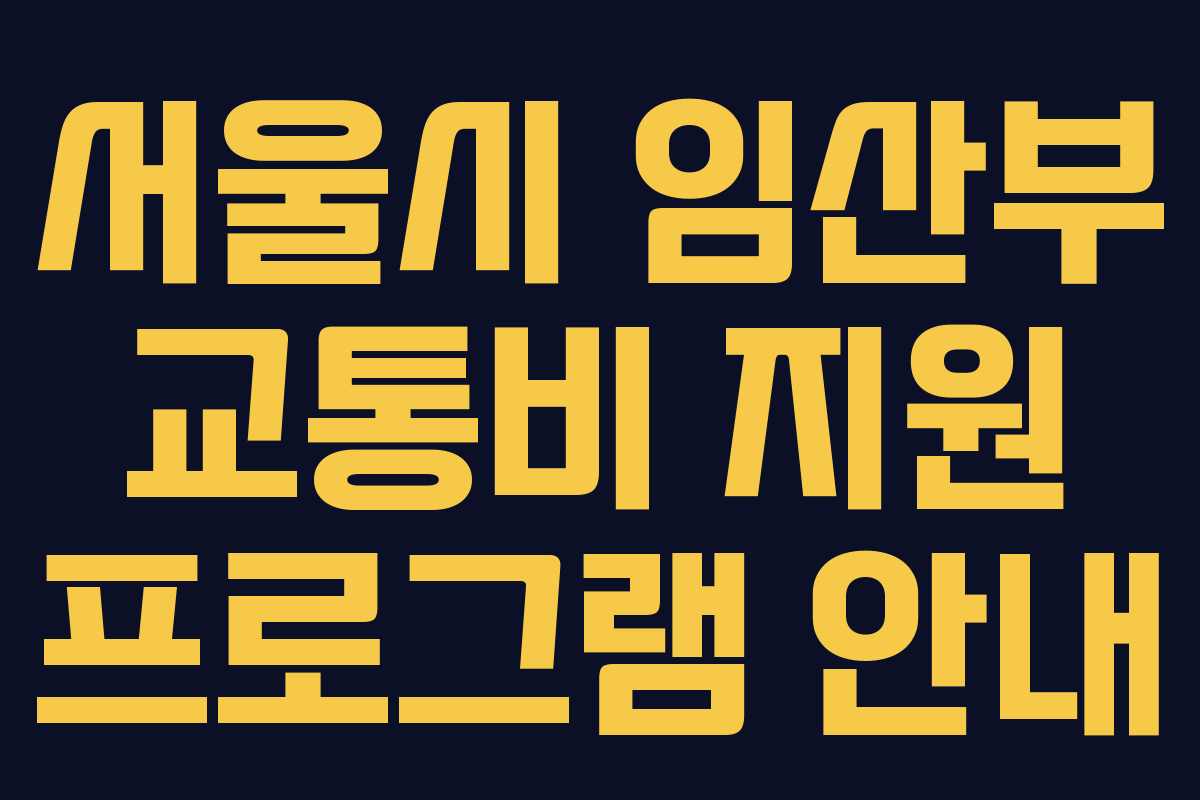 서울시 임산부 교통비 지원 프로그램 안내 서울시 임산부 교통비 지원 프로그램 안내