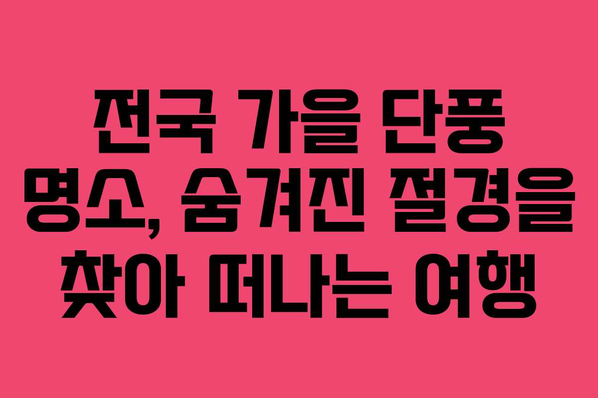 전국 가을 단풍 명소, 숨겨진 절경을 찾아 떠나는 여행
