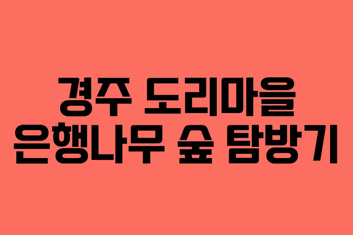 경주 도리마을 은행나무 숲 탐방기 경주 도리마을 은행나무 숲 탐방기