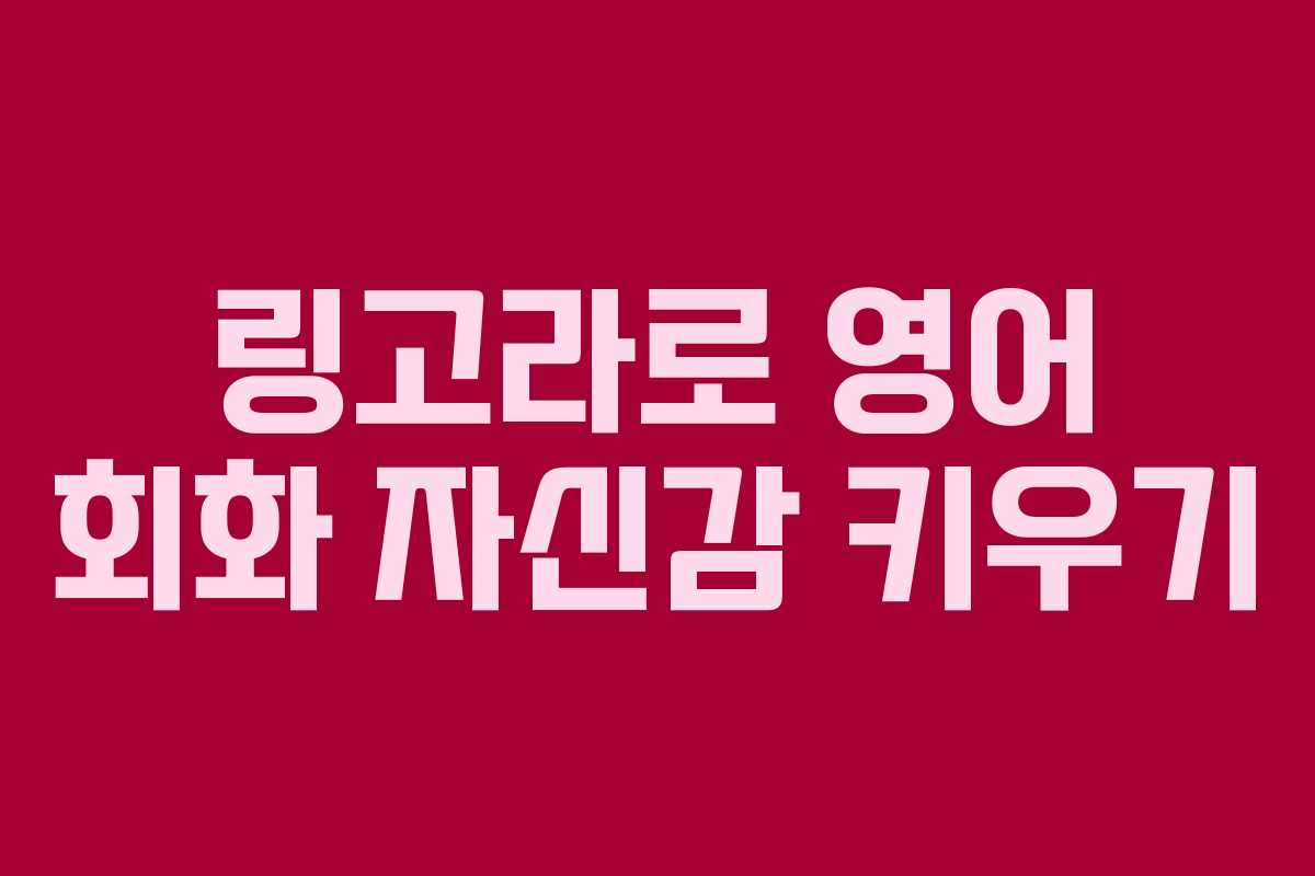 링고라로 영어 회화 자신감 키우기